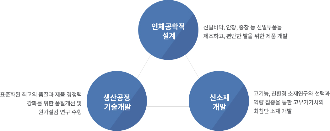 연구분야